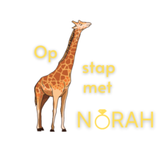 Op stap met Norah